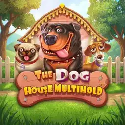 The Dog House Multihold gra w Winwin Casino dla graczy z Polski The Dog House Multihold gra w Winwin Casino dla graczy z Polski